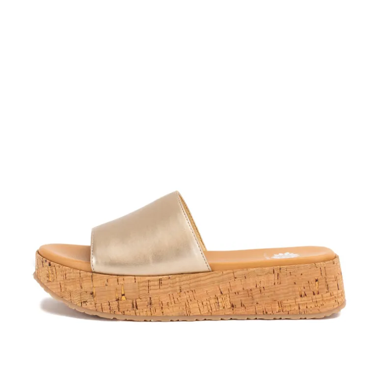 Anatto Flatform Slide