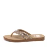 Dalia Flip Flop Sandal