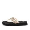 Ficus Flip Flop