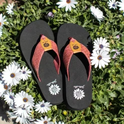 Flophop Flip Flop