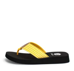 Fromy Flip Flop