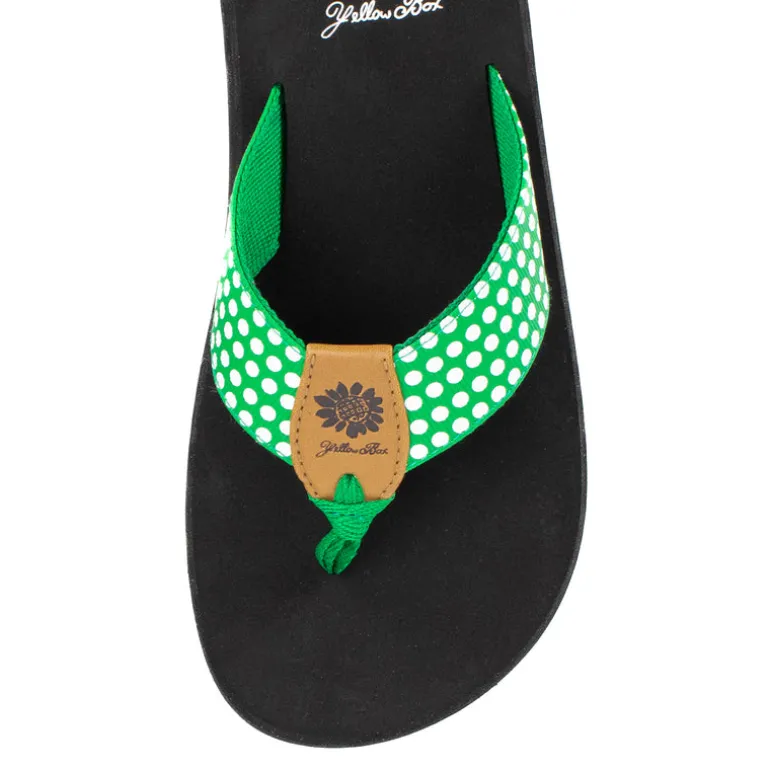 Fromy Flip Flop