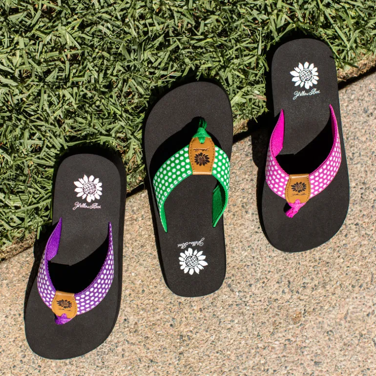 Fromy Flip Flop