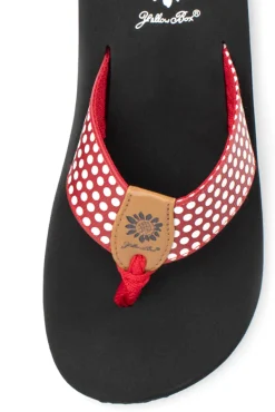 Fromy Flip Flop