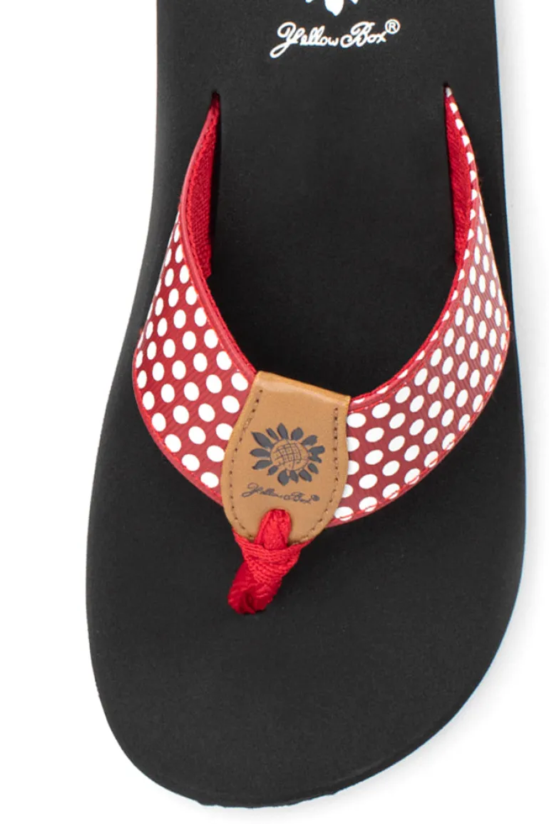 Fromy Flip Flop