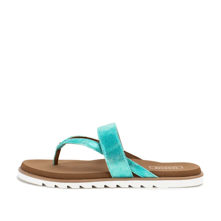 Shayne Sandal