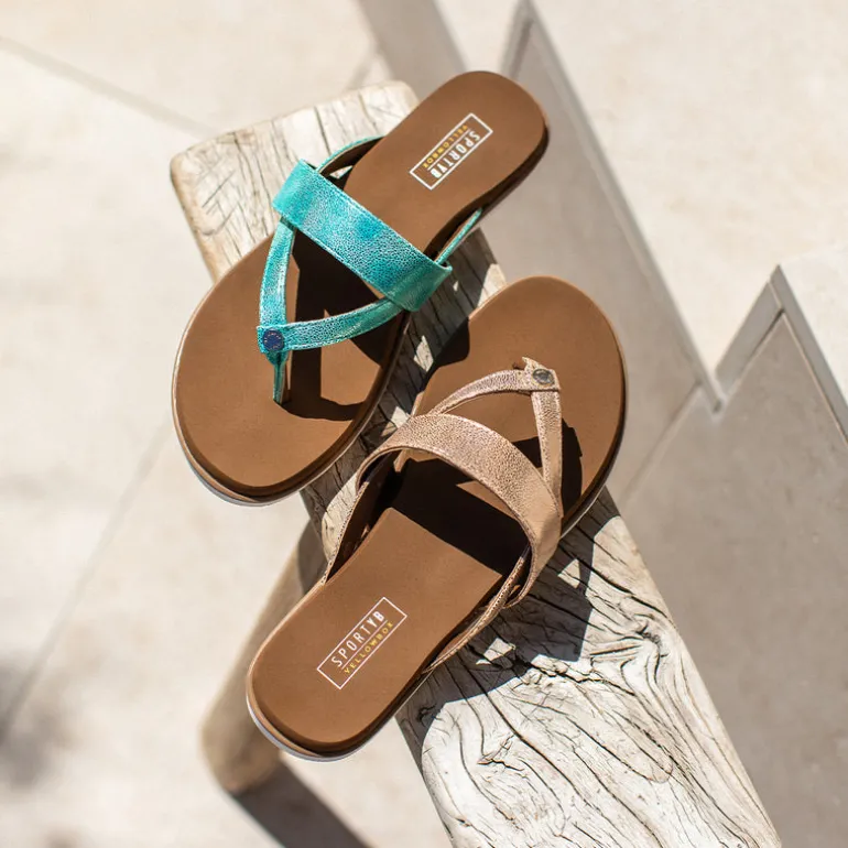 Shayne Sandal
