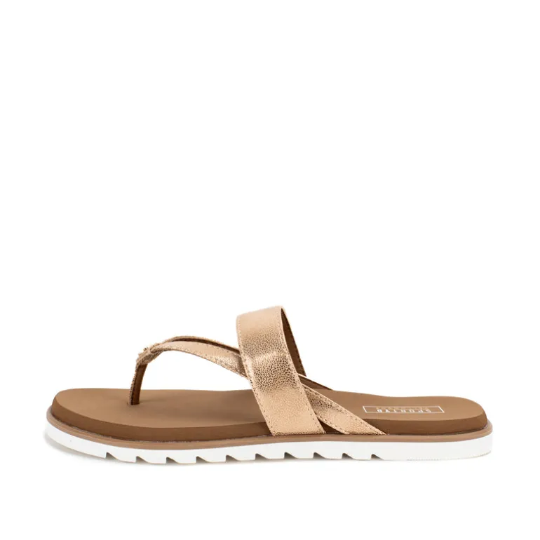 Shayne Sandal