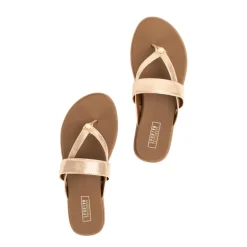 Shayne Sandal