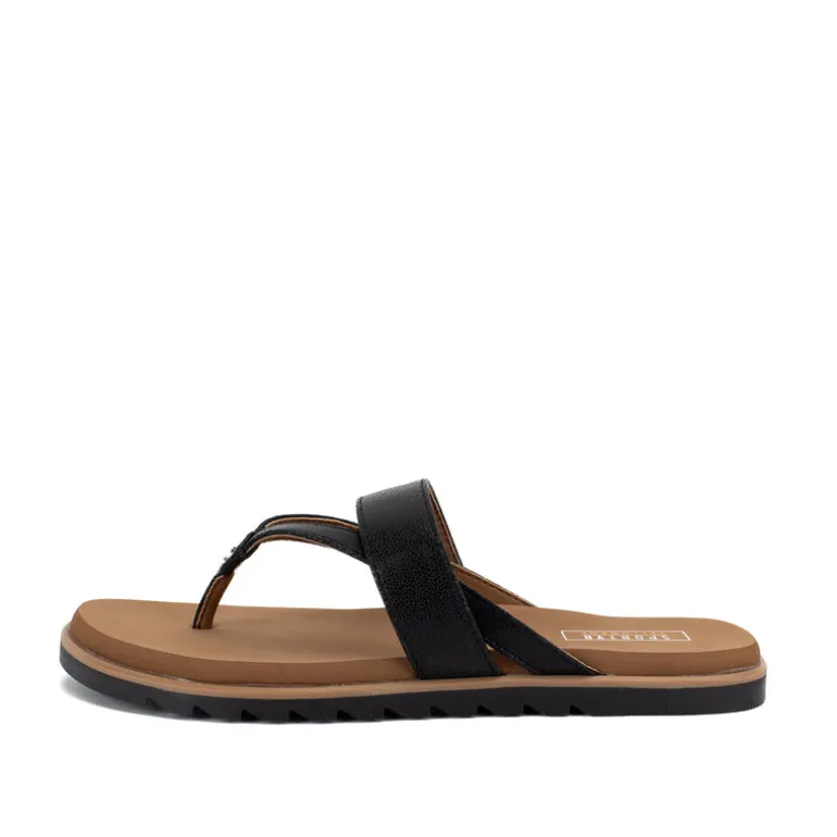 Shayne Sandal