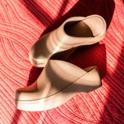 Zippy Clog